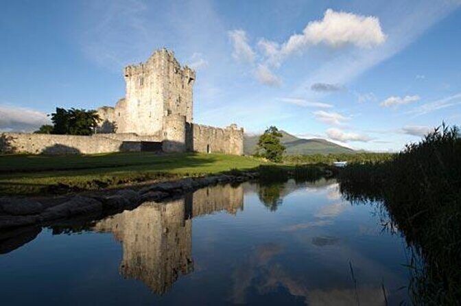 Bus & Boat Tour - Key highlights to look for