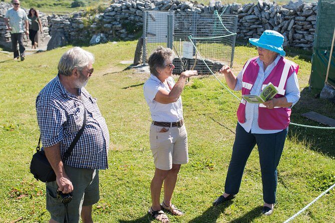 Caherconnell Fort & Sheepdog Demonstrations - Sheepdog demonstration: a real show built for real weather