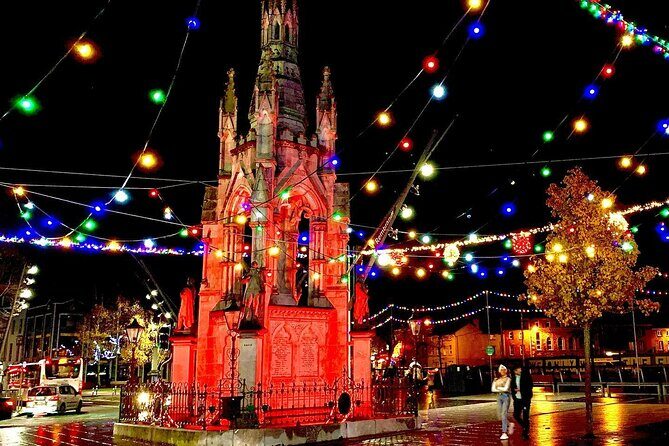 Chauffeur Blarney and Cork Private Day Tour from Dublin - Should you book this private Blarney and Cork day tour?
