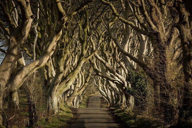 Chauffeur Giants Causeway & Belfast Private Day Tour From Dublin - Giants Causeway: What You Actually Get for 1.5 Hours