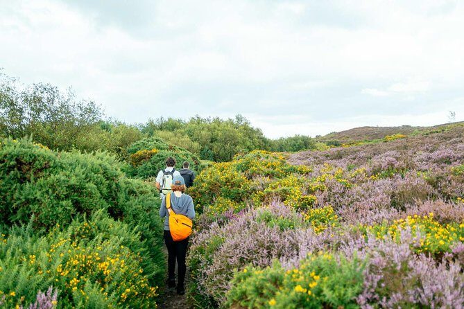 City Explorer: Howth Private Day Trip - Price and what you’re really paying for ($302.23 per person)