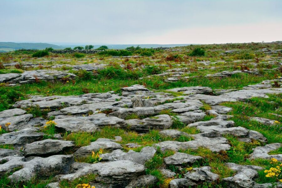 Cliffs of Moher and Blarney 2-Day Tour from Dublin - Bunratty Castle photo stop: a final medieval brushstroke