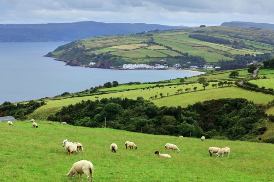 Cliffs of Moher and Blarney 2-Day Tour from Dublin - Cliffs of Moher: dramatic views plus actual interpretation