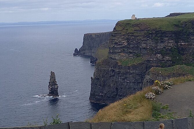 Cliffs of Moher and Burren Private Day Tour - Private transportation: what you actually get on board