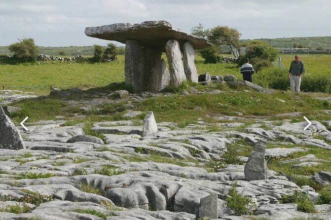 Cliffs of Moher and The Burren Private Tour from Dublin - Aillwee Caves: your included underground experience