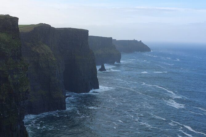 Cliffs of Moher & Sheepdog Demonstrations from Galway - Key highlights