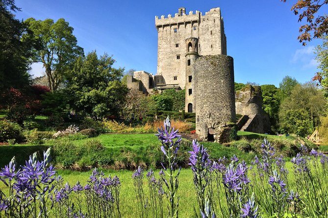 Cobh (Cork) to Blarney Castle & Kinsale - Shore Excursion - How Much Is It Worth at $95.53 for 8 Hours?