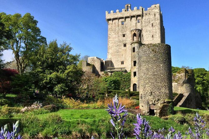 Cobh (Cork) to Blarney Castle & Kinsale - Shore Excursion - Who Should Book This Shore Excursion (and Who Might Want a Different Plan)