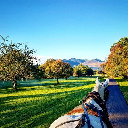 Combination Killarney Jaunting Car Tour and Lakes of Killarney Cruise - Key things to know before you go