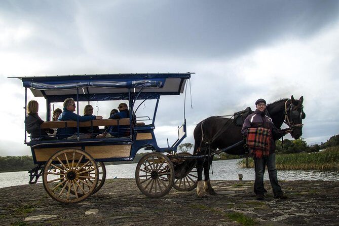 Combination Killarney Jaunting Car Tour and Lakes of Killarney Cruise - What the guides actually do with your time (and why it feels worth it)