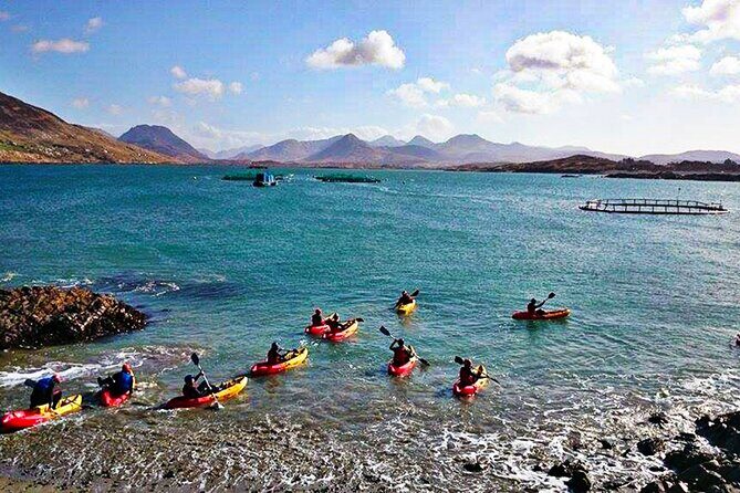 Connemara Coastal kayaking - Wildlife and local stories: the difference between scenery and understanding
