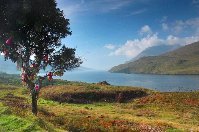 Connemara Day Trip Including Leenane Village and Kylemore Abbey from Galway - Connemara National Park and Spiddal: nature pauses plus seaside charm