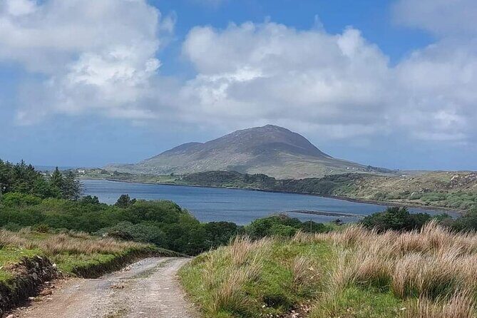 Connemara Sheep Farm experience & Kylemore Abbey by Lux Limousine - The big picture: what this private Connemara day really delivers