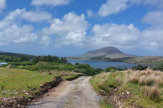 Connemara Sheep Farm experience & Kylemore Abbey by Lux Limousine - Killary Sheep Farm: working dogs, sheep jobs, and what farm life looks like