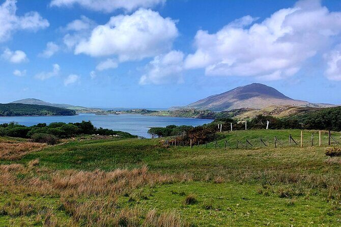 Connemara Sheep Farm experience & Kylemore Abbey by Lux Limousine - Logistics that matter: timing, pace, and where you’ll feel the day
