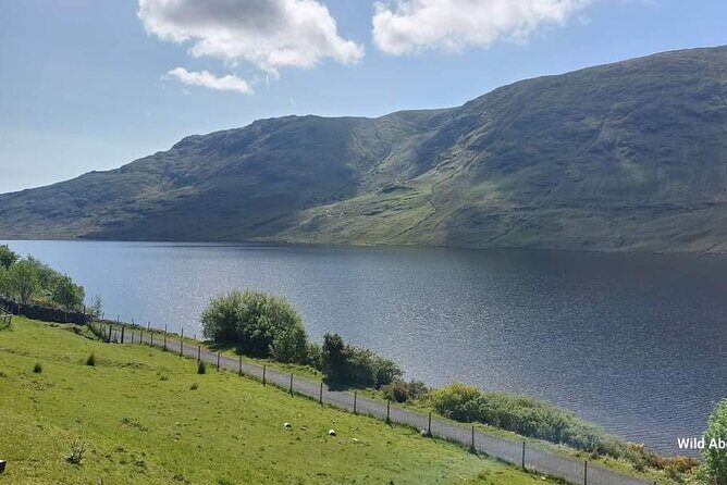 Connemara Sheep Farm experience & Kylemore Abbey by Lux Limousine - Who this private tour fits best (and who should think twice)