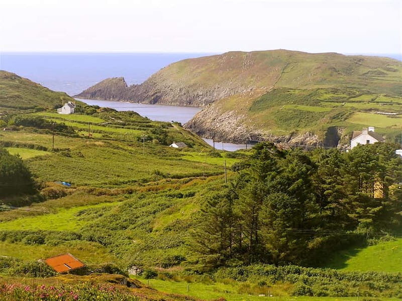 Cork: Fastnet Rock Lighthouse and Cape Clear Island Tour - Key highlights worth your time