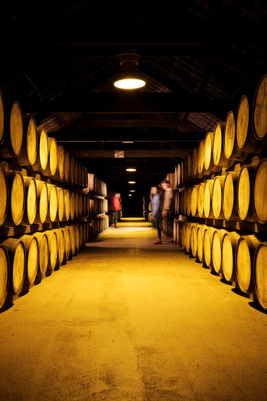 Cork: Midleton Distillery Behind the Scenes Tour & Tasting - The premium whiskey tasting: how to taste what you just saw