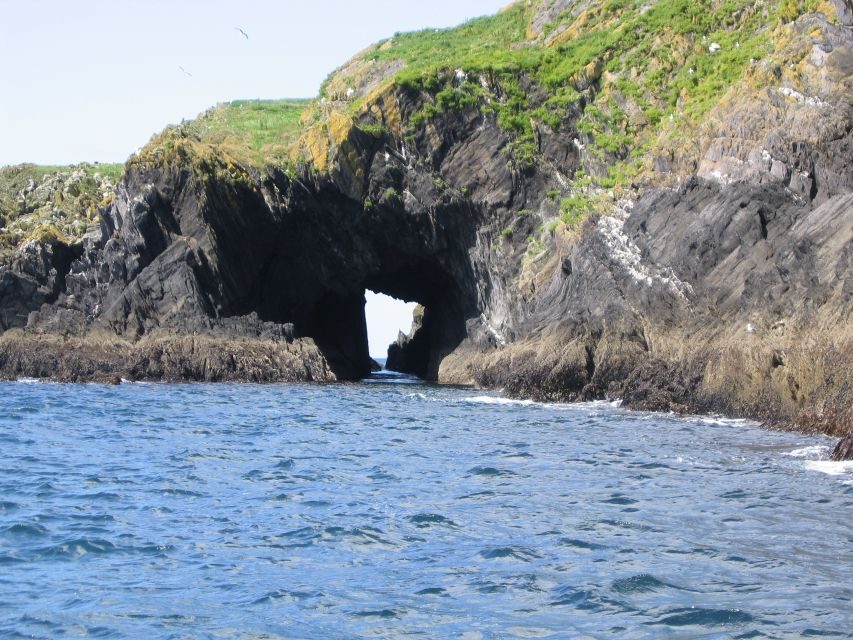 County Cork: Whale & Dolphin Watching Boat Trip - Getting to the North Pier of Baltimore fast (and finding parking)