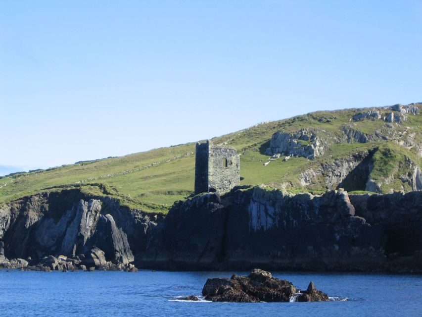 County Cork: Whale & Dolphin Watching Boat Trip - Why this Baltimore Harbour boat trip feels like a mini safari