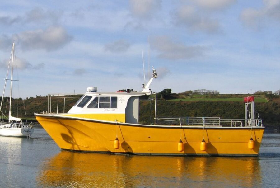 County Cork: Whale & Dolphin Watching Boat Trip - The boat ride itself: comfort, deck time, and the wind factor