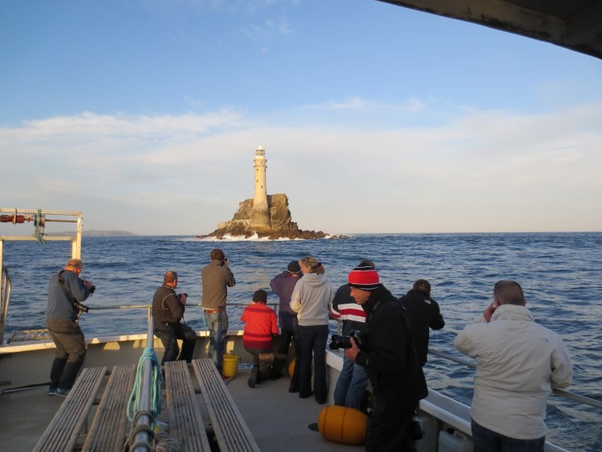 County Cork: Whale & Dolphin Watching Boat Trip - Handling a no-whale day without feeling like you wasted your money