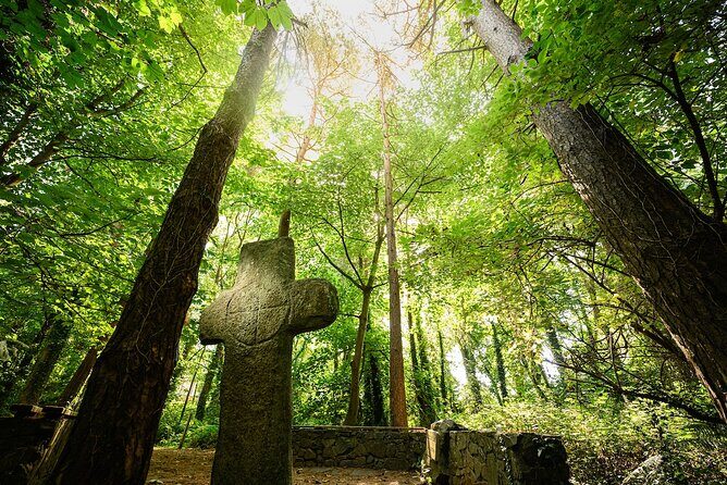 Courtown Woodland Guided Tour - The walk rhythm: 2 hours 30 minutes, low impact, lots of stopping