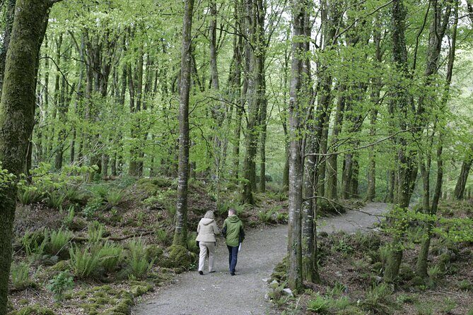 Craggaunowen Admission Ticket - Getting there from Shannon: quick, rural, and easy to fit in