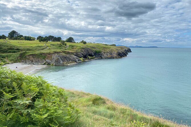 Day Tour from Dublin to Wicklow: Cliffs, Heritage, Wildlife, Gaol - Key highlights you’ll feel on the ground