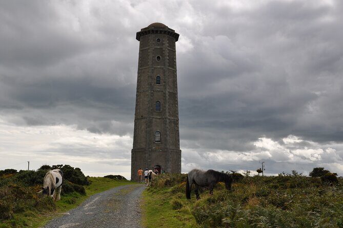Day Tour from Dublin to Wicklow: Cliffs, Heritage, Wildlife, Gaol - Private transport and pacing from Dublin that keeps your evening intact