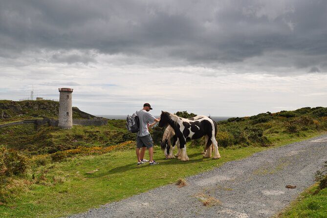 Day Tour from Dublin to Wicklow: Cliffs, Heritage, Wildlife, Gaol - Price reality: what $781.03 per group buys you (and what costs extra)