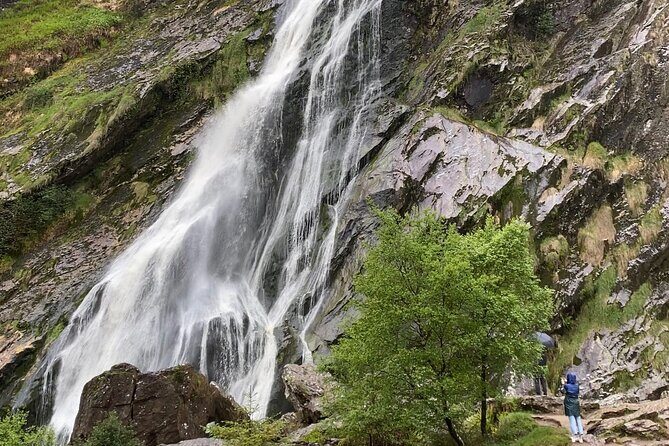 Day Tour from Dublin: Wicklow Mountains, Glendalough, Powerscourt - Should You Book This Dublin-to-Wicklow Tour?