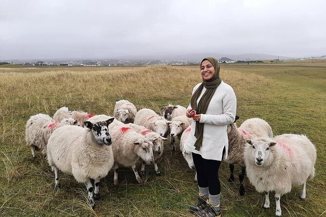 DAY TOUR: Highlights Of South Donegal - Price and timing: does $462.59 per person make sense?