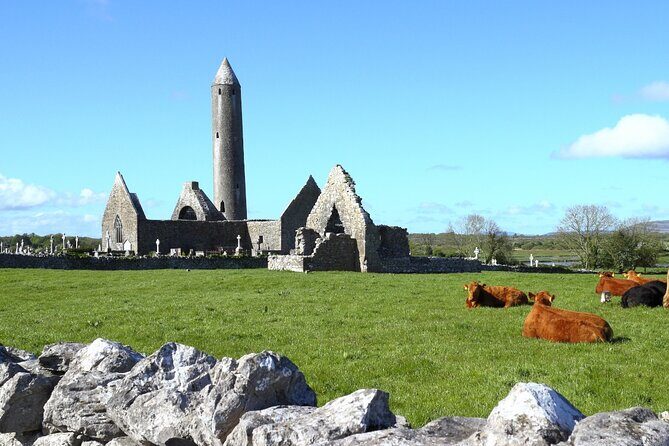 Day trip to Cliffs of Moher & Bunratty Castle and Ennis - Price and value: is $145 fair for a 12-hour day?