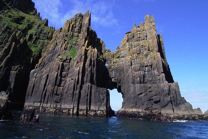 Dingle Boat Tours RIB Adventure Private - Speedboat Value: What You Pay for Up to 12 People