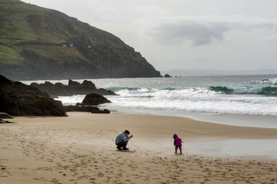 Dingle Day Tour from Limerick - Dingle Town: The Fishing-Town Heart of the Peninsula