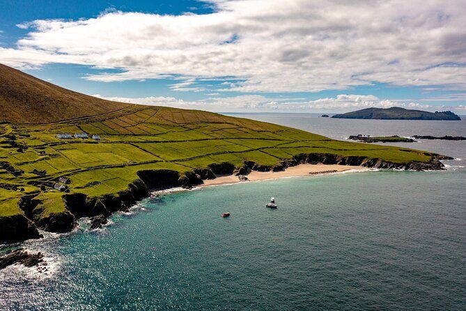 Dingle Dolphin Blasket Adventures - Quick hits: what makes this cruise worth your time