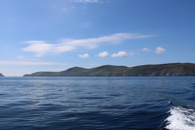 Dingle Dolphin Blasket Adventures - The cruise along Slea Head: your 2.5 to 3 hour game plan