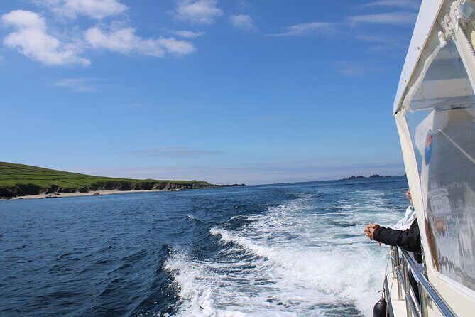 Dingle Dolphin Blasket Adventures - Boarding at Dingle Dolphin Boat Tours: what to expect in real life