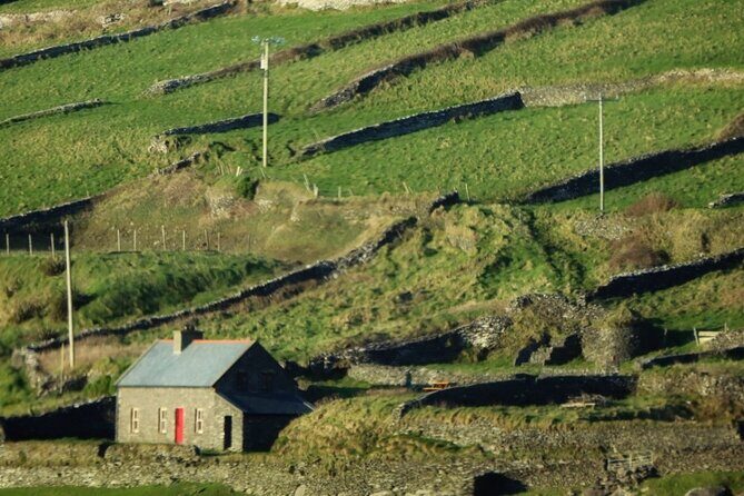 Dingle: Hour Slea Head Drive Tour 4hr - Personal Chauffeur Guide - Getting Pickup Right: Waterside, Dingle and the 10 km Limit