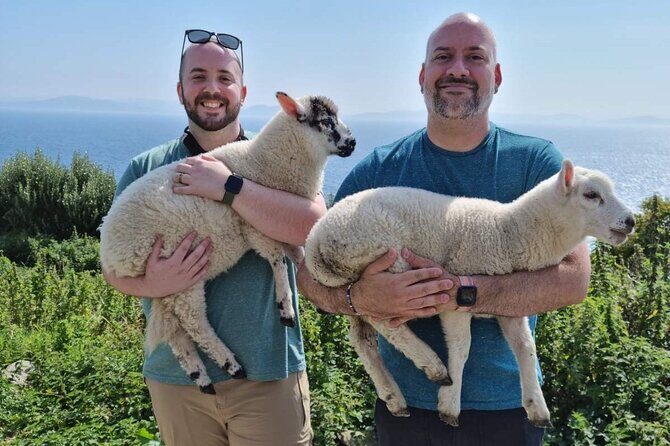 Dingle: Hour Slea Head Drive Tour 4hr - Personal Chauffeur Guide - Book or Skip: My Decision Checklist for You