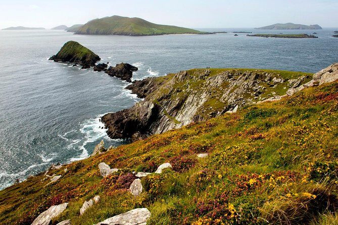 Dingle Peninsula Day Tour from Cork: Including The Wild Altanic Way - Dingle Village: the place to slow down (and eat before you regret it)