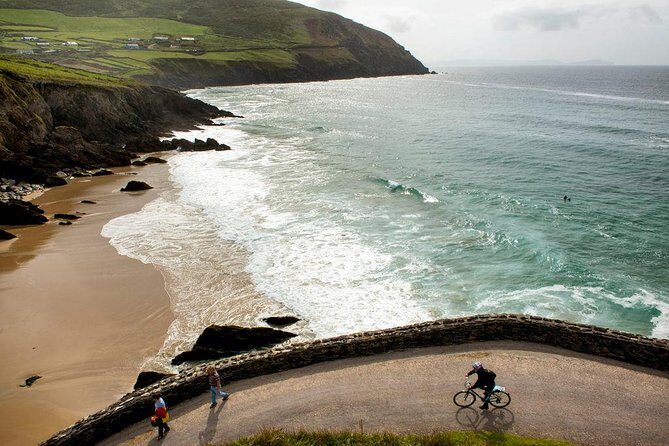 Dingle Peninsula Day Tour from Limerick: The Wild Atlantic Way - Dingle village: 90 minutes of real town energy