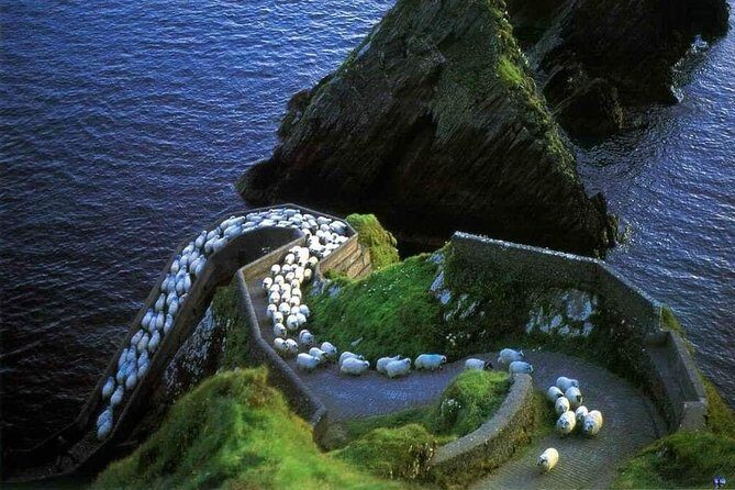 Dingle Peninsula Four Hour Private Tour - Your starting point in Dingle: easy to find, easy to end