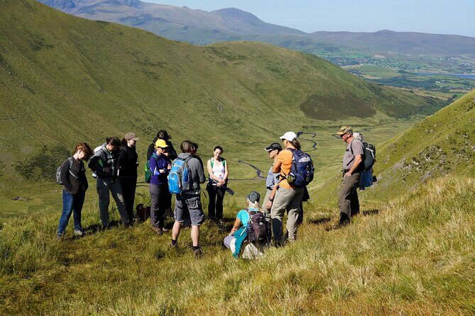 Dingle Peninsula Guided Walking Tour - Who this Dingle Peninsula walk suits best