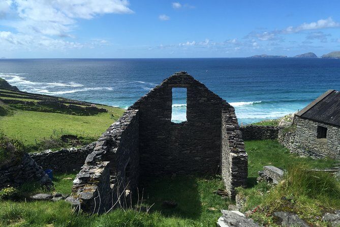 Dingle Peninsula & Slea Head Private Day Tour - Price and value: what $828.17 for up to 3 people buys you
