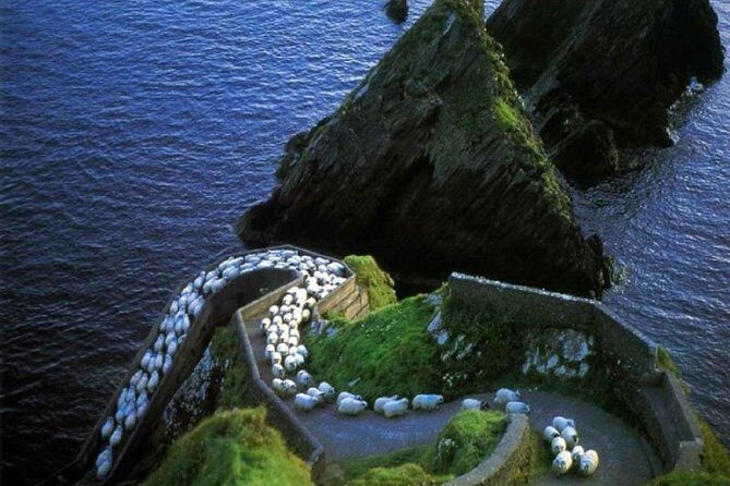 Dingle Peninsula Tour from Killarney: Including Wild Atlantic Way - A stress-free way to cover the Dingle Peninsula in 7 hours