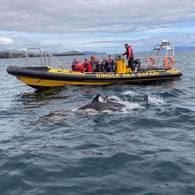 Dingle: Sea Safari by RIB Boat - Great Blasket Island: the history part, seen from the water