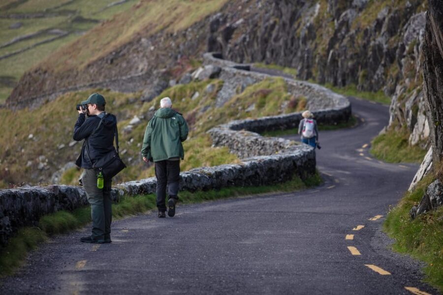 Dingle: Slea Head Photo And Sightseeing Tour - From the Minibus to the Rugged Coastline: How the Tour Is Set Up