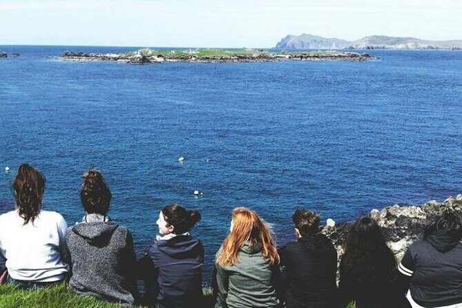 Dingle to Blasket Island Ferry - Group size, English narration, and who will enjoy it most